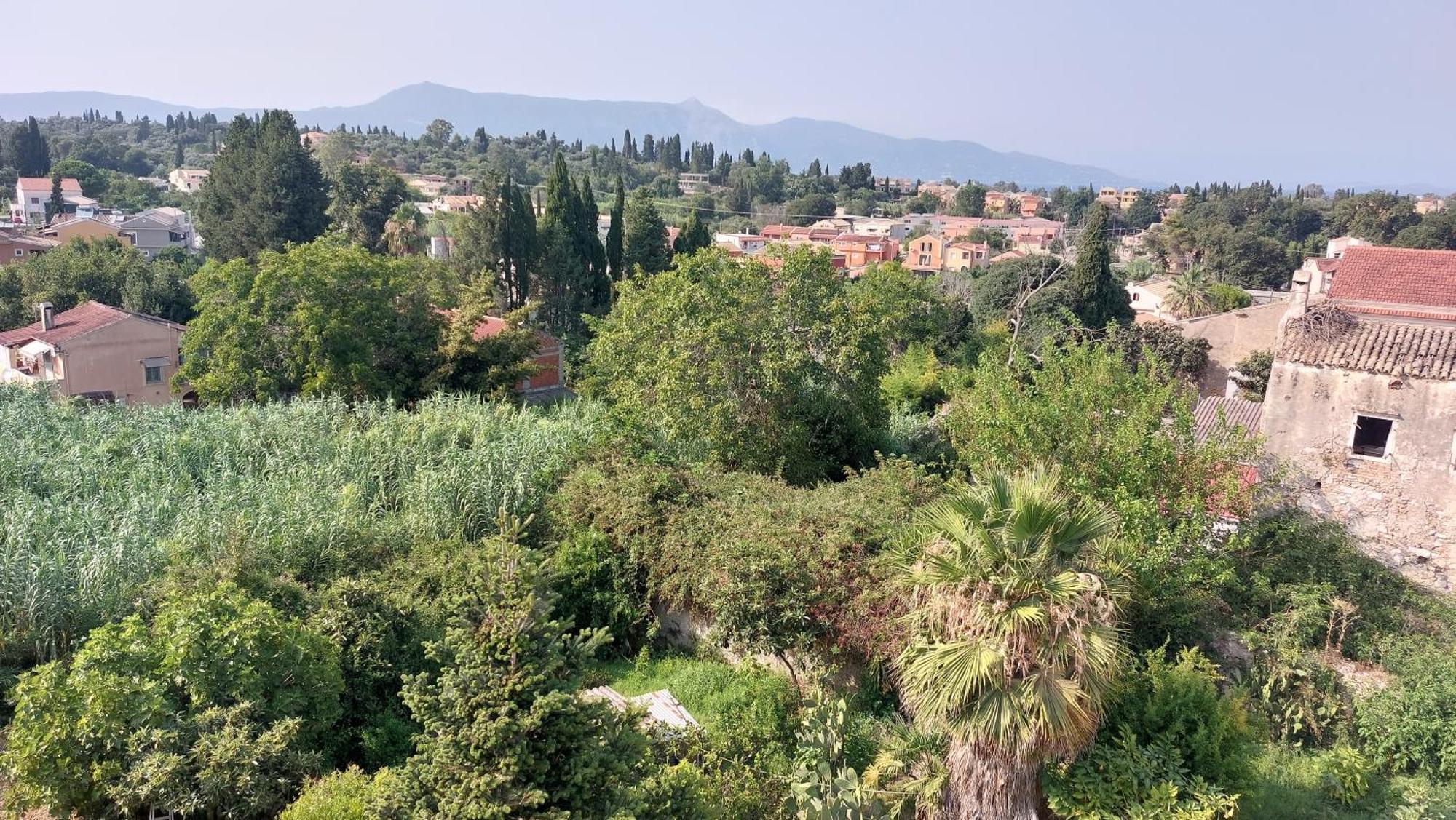 Apartment Semiramis